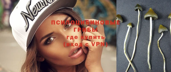 альфа пвп Богданович