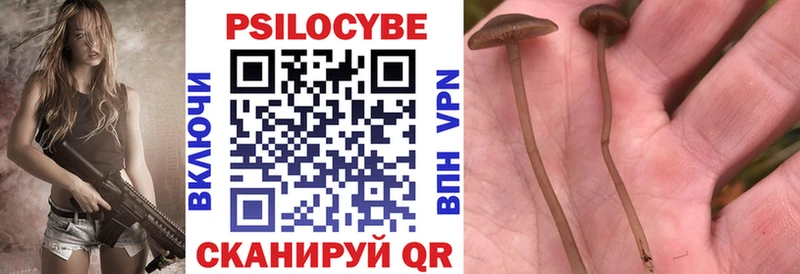 Псилоцибиновые грибы Magic Shrooms Называевск
