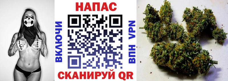 ОМГ ОМГ   Называевск  МАРИХУАНА ГИДРОПОН 